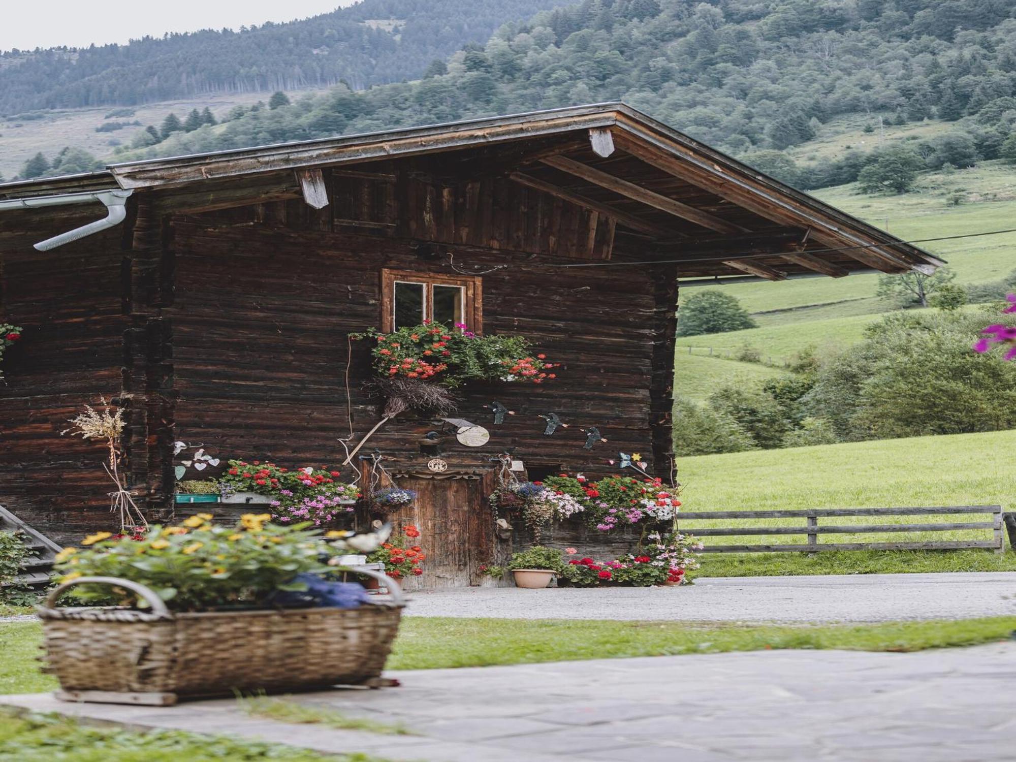 Fusch an der Grossglocknerstrasse Holiday Home Fusch An Der Glocknerstra E מראה חיצוני תמונה